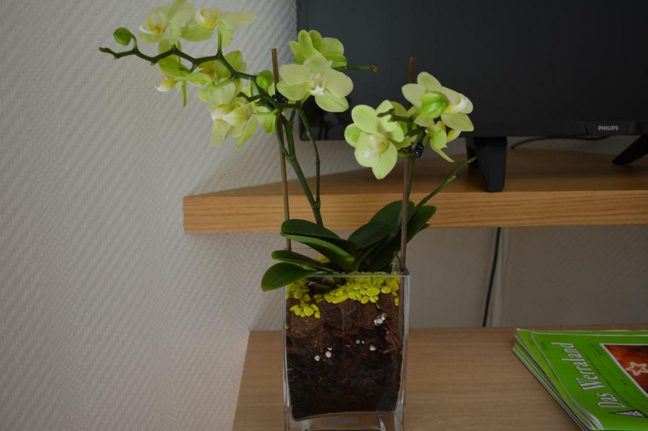 Villa Bellevue Waldkappel 外观 照片
